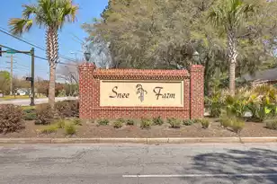 1126 Snap Dragon Ct, Mount Pleasant, SC 29464 - Photo 40