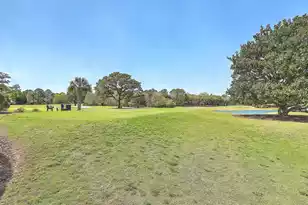 1126 Snap Dragon Ct, Mount Pleasant, SC 29464 - Photo 42