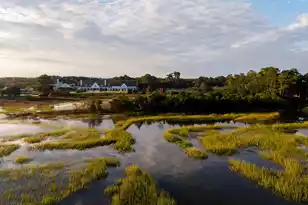 124 Fairbanks Oak Alley, Daniel Island, SC 29492 - Photo 56