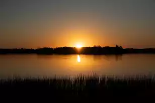 124 Fairbanks Oak Alley, Daniel Island, SC 29492 - Photo 48