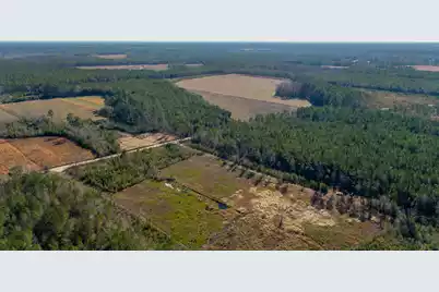 0 Hiotts Pond, Walterboro, SC 29488 - Photo 12