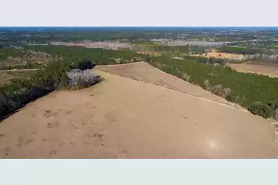 0 Hiotts Pond, Walterboro, SC 29488 - Photo 6