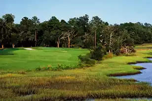 4715 Gold Cup Ln, Hollywood, SC 29449 - Photo 44