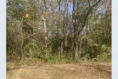 Lot 21 Mary Ellie Drive, Summerville, SC 29483 - Photo 2