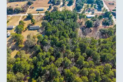 0 Moonlight Drive #Lot 19C, Eutawville, SC 29048 - Photo 6