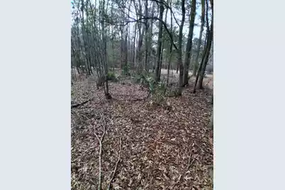 0 Crumley Road #Lot 47 and 47A, Walterboro, SC 29488 - Photo 6