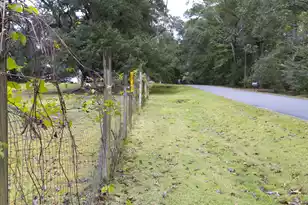 00 Poplar Circle, Summerville, SC 29483 - Photo 10