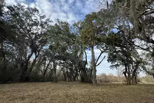 28 Hopkinson Pl Dr, Edisto Island, SC 29438 - Photo 1