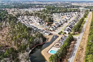 208 Buttonbush Ct, Moncks Corner, SC 29461 - Photo 38