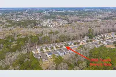 3808 Tupelo Branch Row, Mount Pleasant, SC 29429 - Photo 36