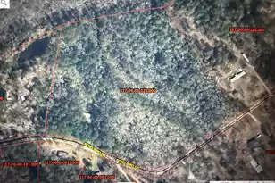 179 Song Bird Dr, Round O, SC 29474 - Photo 1