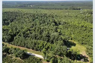 00 Hyde Park Road, Adams Run, SC 29426 - Photo 2