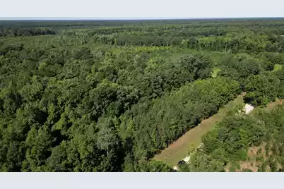 00 Hyde Park Road, Adams Run, SC 29426 - Photo 10