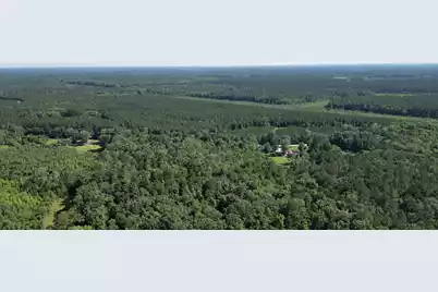 00 Hyde Park Road, Adams Run, SC 29426 - Photo 18