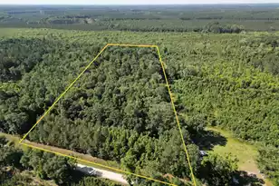00 Hyde Park Rd, Adams Run, SC 29426 - Photo 1