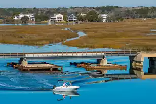 538 Towles Crossing Dr, Johns Island, SC 29455 - Photo 104