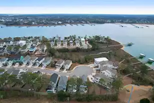 145 Low Tide Ct, Charleston, SC 29492 - Photo 54