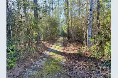 197 Acorn Road, Walterboro, SC 29488 - Photo 8