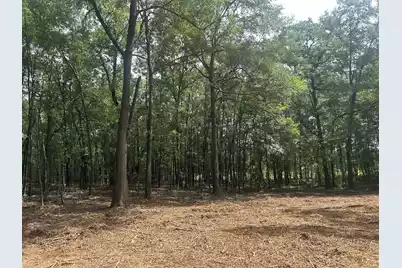 8 Francis Marion Blvd, Summerton, SC 29148 - Photo 12