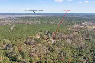 1155 Hwy 61, Ridgeville, SC 29472 - Photo 76