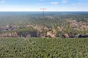 1155 Hwy 61, Ridgeville, SC 29472 - Photo 74