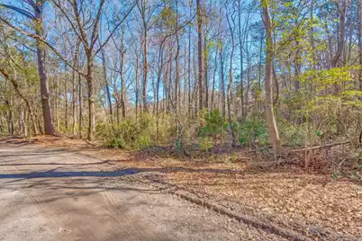 3149 Thomas Jones Road, Johns Island, SC 29455 - Photo 1