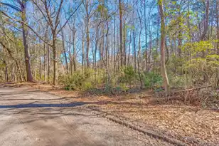 3149 Thomas Jones Rd, Johns Island, SC 29455 - Photo 1