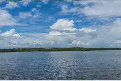 2810 Rivertowne Parkway, Mount Pleasant, SC 29466 - Photo 38