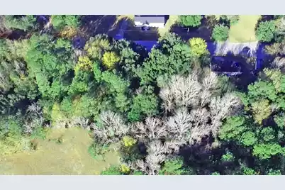 0 Bugleflower Lane, Saint Matthews, SC 29135 - Photo 6