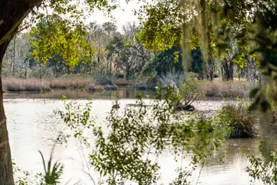 3887 Moss Pointe Court, Johns Island, SC 29455 - Photo 82