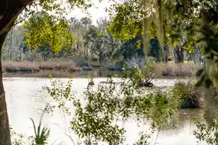 3887 Moss Pointe Ct, Johns Island, SC 29455 - Photo 82