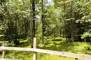 6370 Shilelagh Oaks Pkwy, Ravenel, SC 29470 - Photo 50