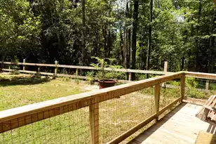 6370 Shilelagh Oaks Pkwy, Ravenel, SC 29470 - Photo 12