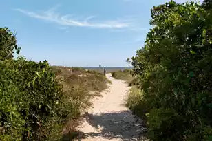 14 55th Ave, Isle Of Palms, SC 29451 - Photo 4