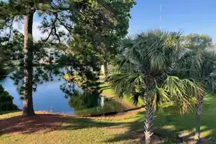 1481 Center Street Ext, Mount Pleasant, SC 29464 - Photo 1