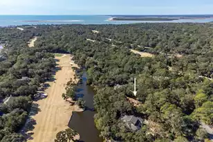 2441 The Bent Twig, Seabrook Island, SC 29455 - Photo 64