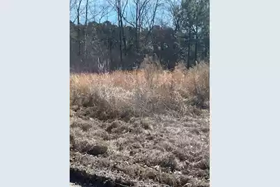 1064 Van Dyke Road, Cottageville, SC 29435 - Photo 1