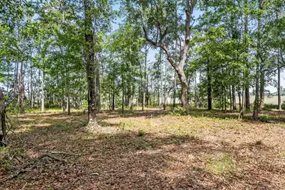 0 Allandale Plantation Road, Wadmalaw Island, SC 29487 - Photo 14
