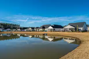 1209 Black Skimmer St, Summerville, SC 29485 - Photo 42