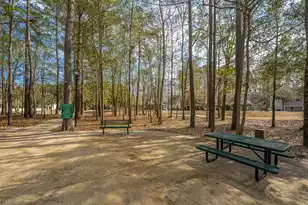 218 Comiskey Park Cir, Summerville, SC 29485 - Photo 60