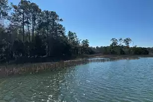 0 Allandale Plantation Rd, Wadmalaw Island, SC 29487 - Photo 6