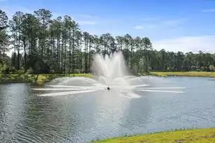 3952 Aberfeldy Ln, Ravenel, SC 29470 - Photo 14