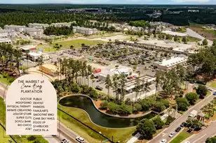 361 Waterlily Way, Summerville, SC 29486 - Photo 56