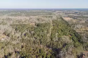 825 Glen St, Walterboro, SC 29488 - Photo 30