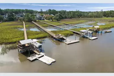 1353 Black River Drive, Mount Pleasant, SC 29466 - Photo 46