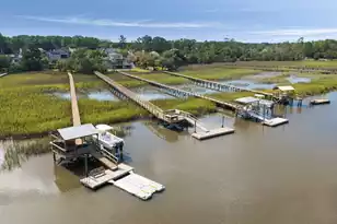 1353 Black River Dr, Mount Pleasant, SC 29466 - Photo 46