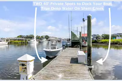 228 Haddrell Street, Mount Pleasant, SC 29464 - Photo 4