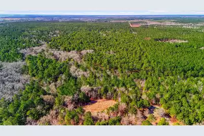 0 Gertie Lane, Cordesville, SC 29434 - Photo 8