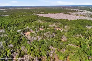 0 Gertie Ln, Cordesville, SC 29434 - Photo 1