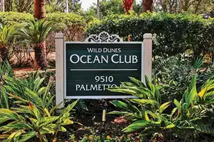 1406 Ocean Club, Isle Of Palms, SC 29451 - Photo 12